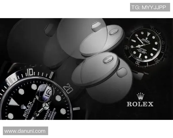 如何鉴定vs1441的真伪与质量标准详细指南