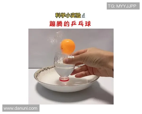 科学乒乓球训练法：提升个人能力的有效技巧与方法分享